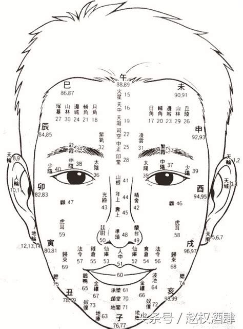 歲數面相年齡|【面相年齡圖】暢視你的晚年：歲月在面相上的謎團，。